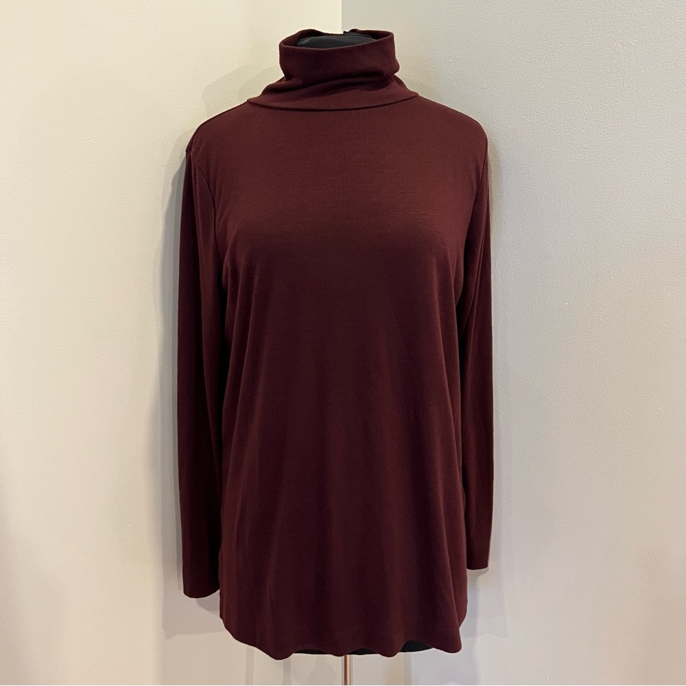 Loft Burgundy Turtleneck Long Sleeve Top